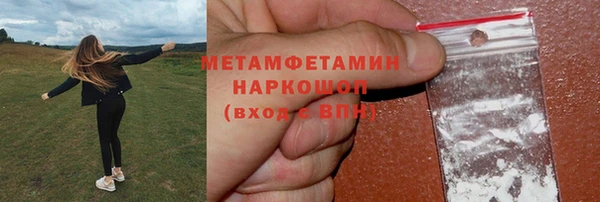 гидра Алексин