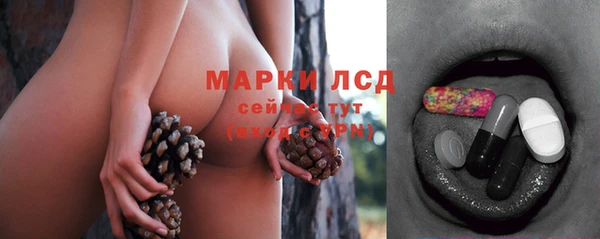 а пвп мука Алзамай