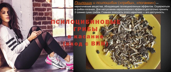 а пвп мука Алзамай