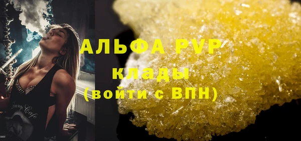 гидра Алексин