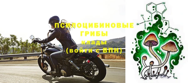 а пвп мука Алзамай