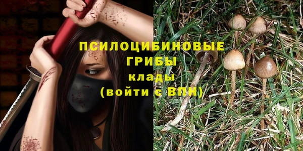 а пвп мука Алзамай