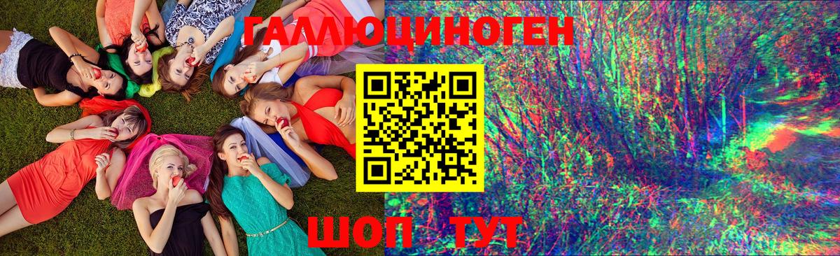 Галлюциногенные грибы Psilocybine cubensis  даркнет сайт  Псилоцибиновые грибы Psilocybe  Иркутск 