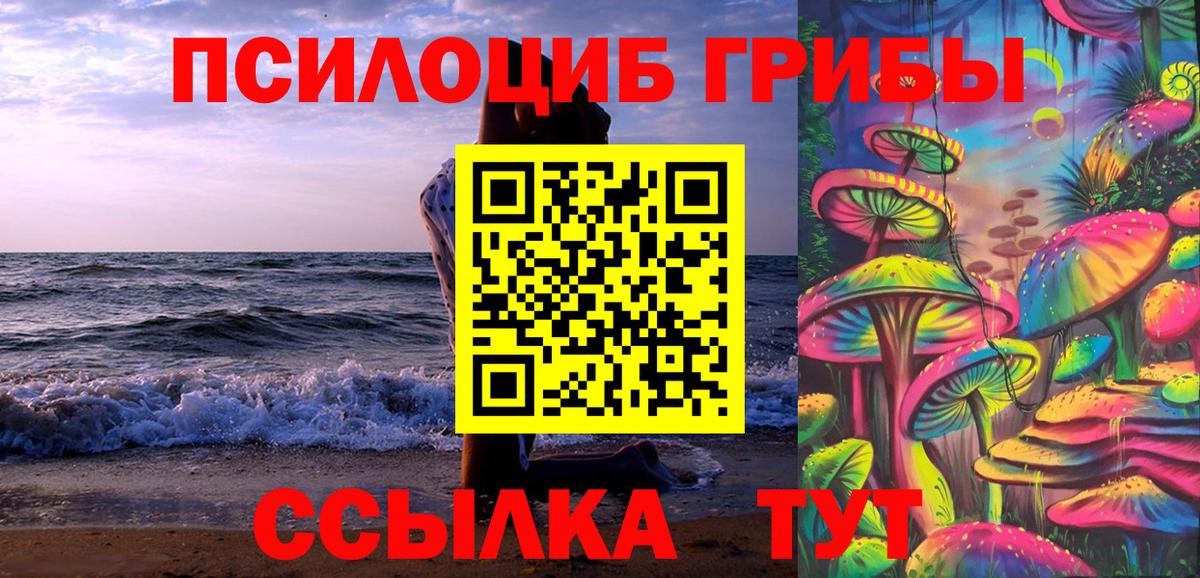 Псилоцибиновые грибы мицелий Иркутск