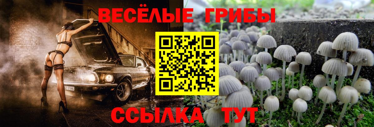 Галлюциногенные грибы мухоморы  Вход с VPN  даркнет сайт  Иркутск  Галлюциногенные грибы мицелий 